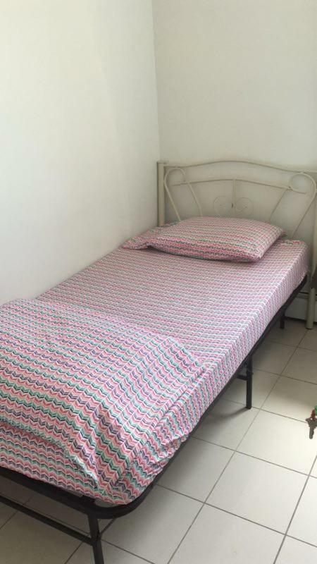 University Apartment โตรอนโต ภายนอก รูปภาพ